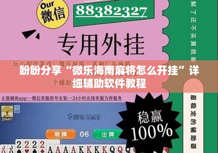 盼盼分享“微乐海南麻将怎么开挂”详细辅助软件教程