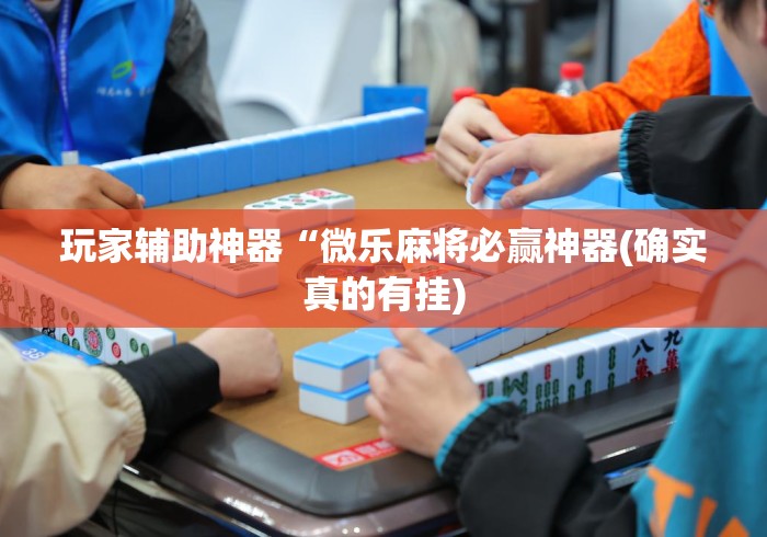玩家辅助神器“微乐麻将必赢神器(确实真的有挂)
