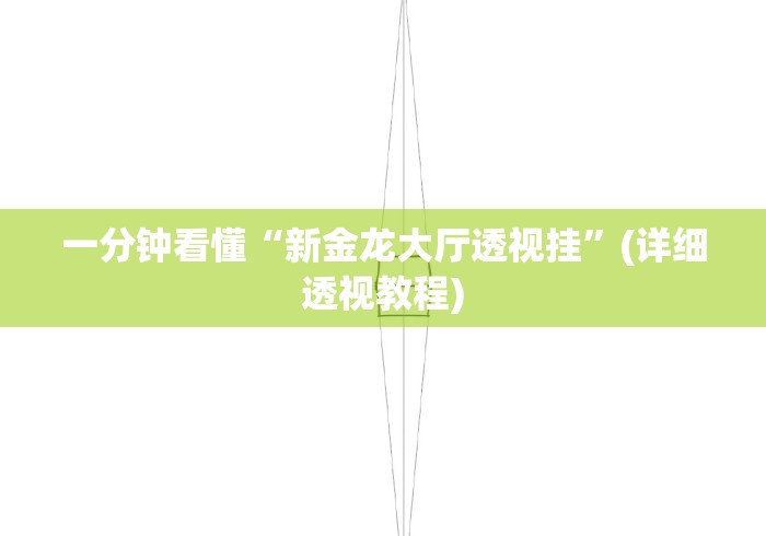 一分钟看懂“新金龙大厅透视挂”(详细透视教程)