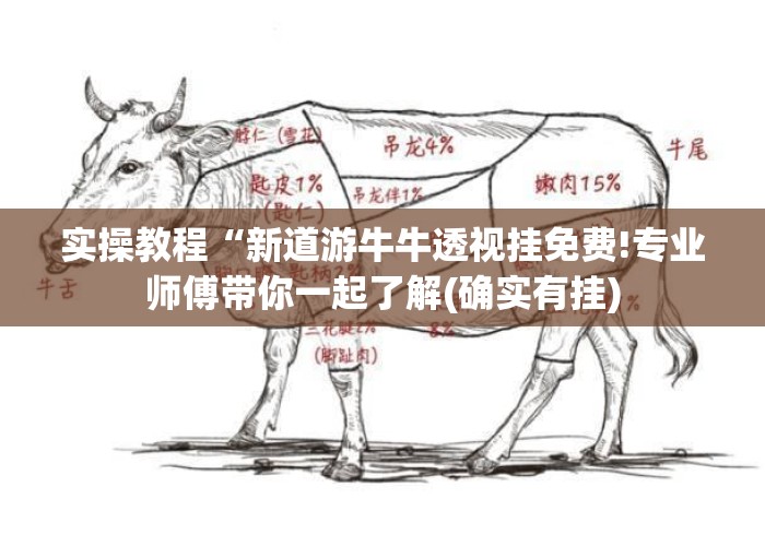 实操教程“新道游牛牛透视挂免费!专业师傅带你一起了解(确实有挂) 实操教程“新道游牛牛透视挂免费!专业师傅带你一起了解(确实有挂)