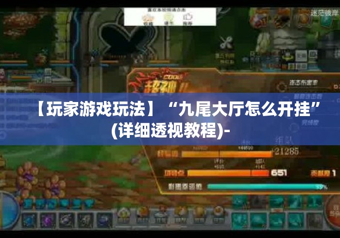 【玩家游戏玩法】“九尾大厅怎么开挂”(详细透视教程)-
