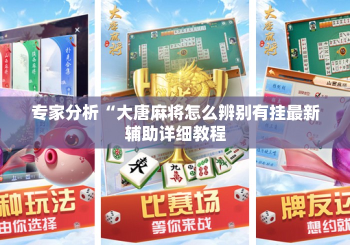 专家分析“大唐麻将怎么辨别有挂最新辅助详细教程 专家分析“大唐麻将怎么辨别有挂最新辅助详细教程