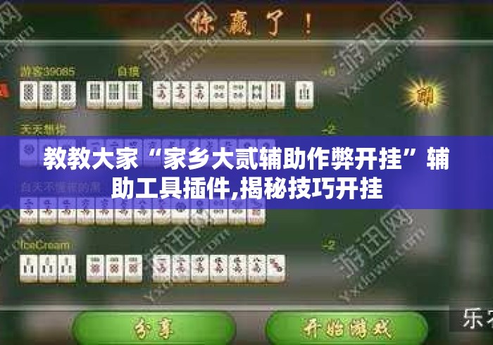 教教大家“家乡大贰辅助作弊开挂”辅助工具插件,揭秘技巧开挂