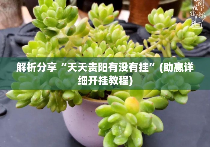 解析分享“天天贵阳有没有挂	”(助赢详细开挂教程)