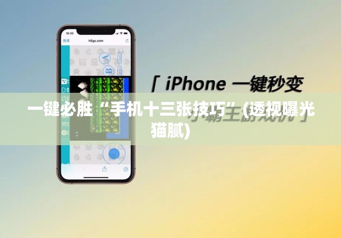 一键必胜“手机十三张技巧”(透视曝光猫腻)