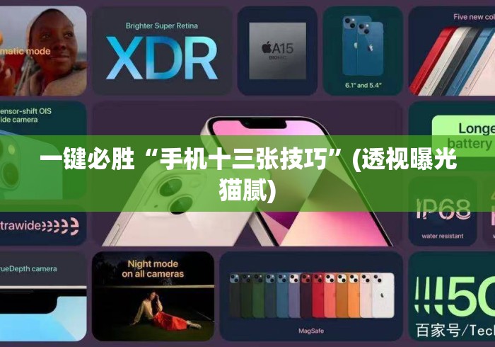 一键必胜“手机十三张技巧”(透视曝光猫腻)