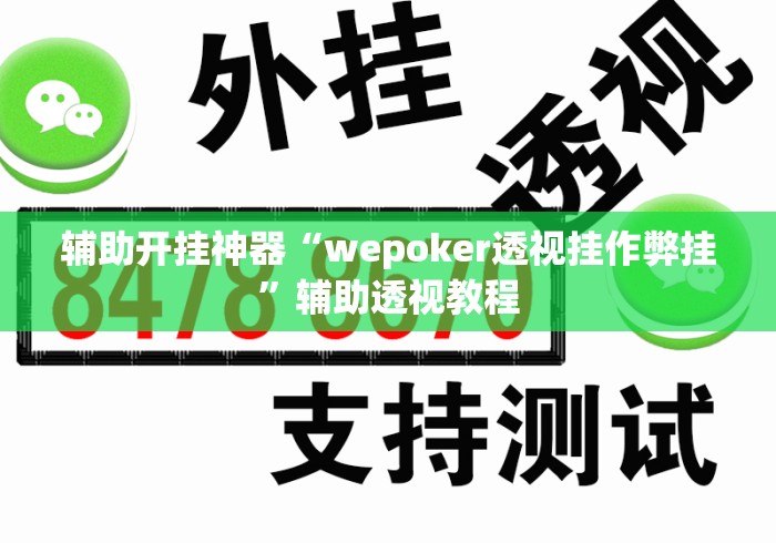 辅助开挂神器“wepoker透视挂作弊挂”辅助透视教程