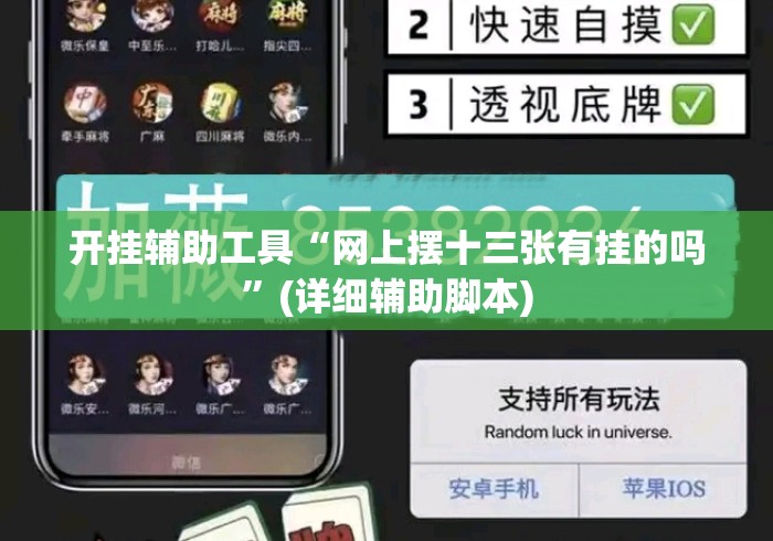 开挂辅助工具“网上摆十三张有挂的吗”(详细辅助脚本)