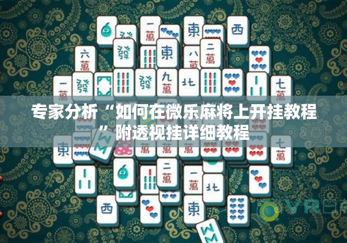 专家分析“如何在微乐麻将上开挂教程	”附透视挂详细教程