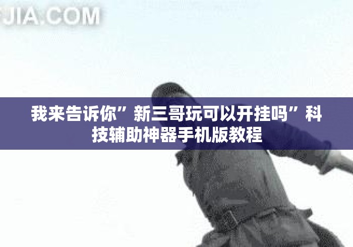 我来告诉你”新三哥玩可以开挂吗”科技辅助神器手机版教程
