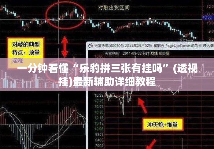 一分钟看懂“乐豹拼三张有挂吗”(透视挂)最新辅助详细教程