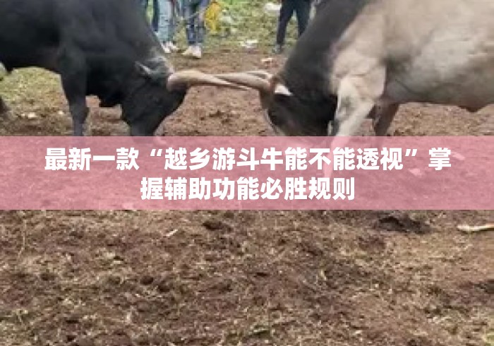 最新一款“越乡游斗牛能不能透视”掌握辅助功能必胜规则