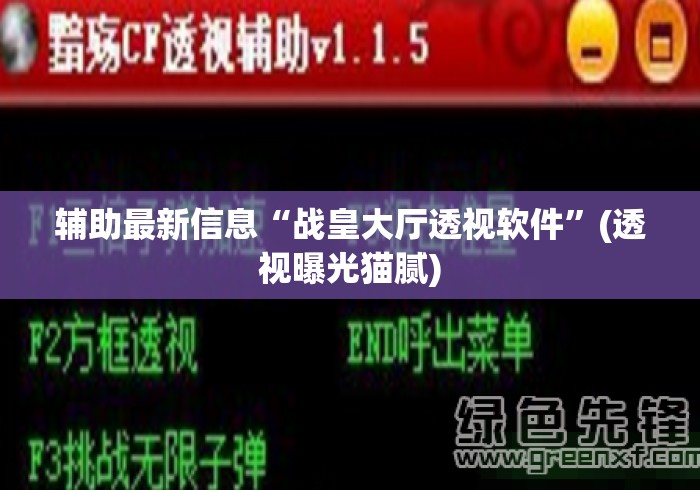 辅助最新信息“战皇大厅透视软件	”(透视曝光猫腻)