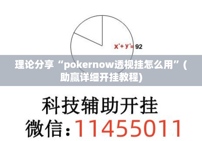 理论分享“pokernow透视挂怎么用”(助赢详细开挂教程)