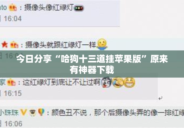 今日分享“哈狗十三道挂苹果版”原来有神器下载