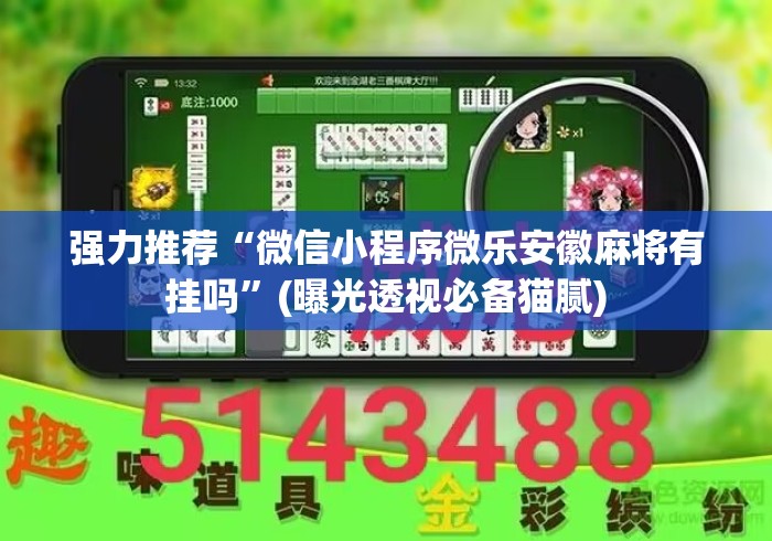 强力推荐“微信小程序微乐安徽麻将有挂吗”(曝光透视必备猫腻)