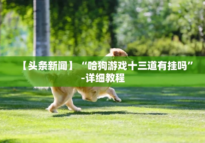 【头条新闻】“哈狗游戏十三道有挂吗”-详细教程