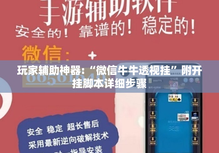 玩家辅助神器:“微信牛牛透视挂”附开挂脚本详细步骤