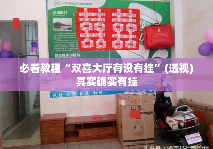 必看教程“双喜大厅有没有挂”(透视)其实确实有挂