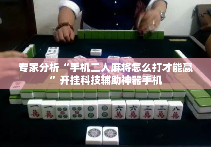 专家分析“手机二人麻将怎么打才能赢”开挂科技辅助神器手机