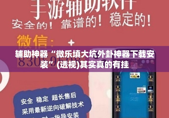 辅助神器“微乐填大坑外卦神器下载安装	”(透视)其实真的有挂