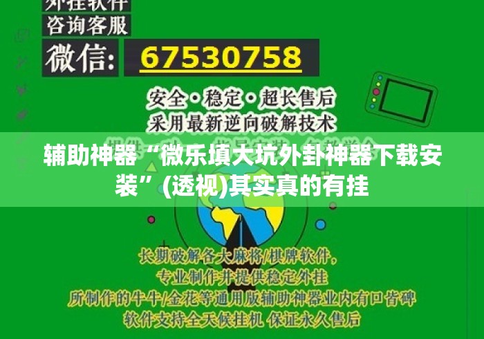 辅助神器“微乐填大坑外卦神器下载安装”(透视)其实真的有挂