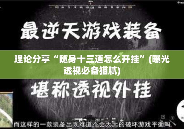 理论分享“随身十三道怎么开挂”(曝光透视必备猫腻)