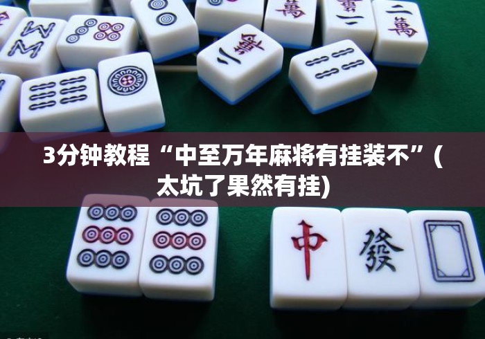 3分钟教程“中至万年麻将有挂装不”(太坑了果然有挂)