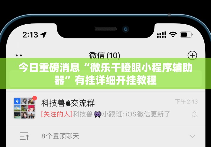 今日重磅消息“微乐干瞪眼小程序辅助器”有挂详细开挂教程