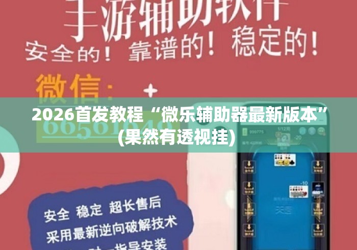 2026首发教程“微乐辅助器最新版本”(果然有透视挂) 