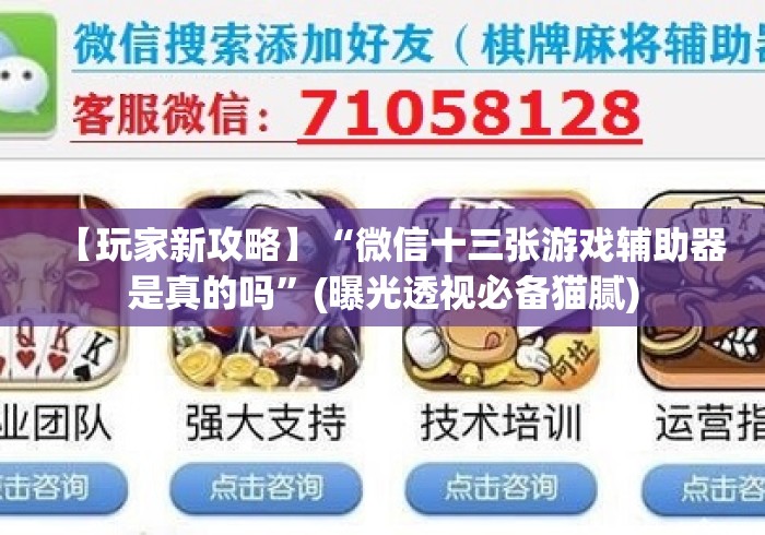 【玩家新攻略】“微信十三张游戏辅助器是真的吗”(曝光透视必备猫腻)