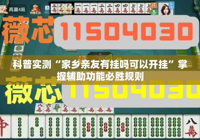 科普实测“家乡亲友有挂吗可以开挂”掌握辅助功能必胜规则