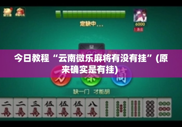今日教程“云南微乐麻将有没有挂	”(原来确实是有挂) 