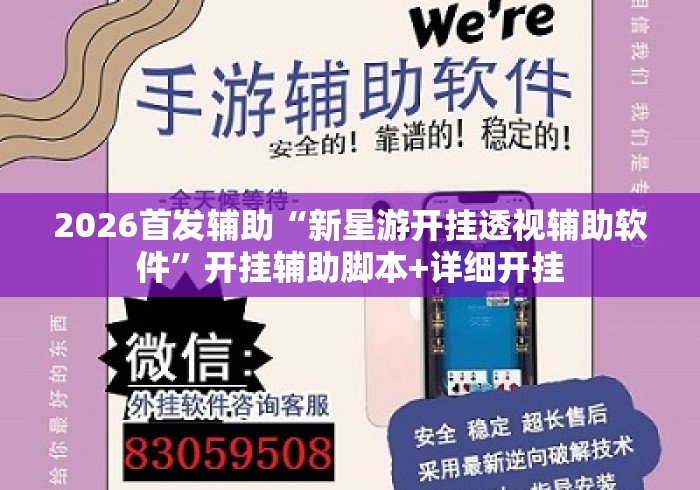 2026首发辅助“新星游开挂透视辅助软件”开挂辅助脚本+详细开挂