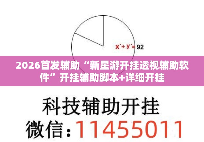 2026首发辅助“新星游开挂透视辅助软件”开挂辅助脚本+详细开挂