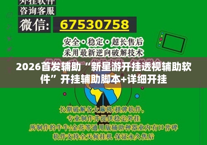 2026首发辅助“新星游开挂透视辅助软件	”开挂辅助脚本+详细开挂