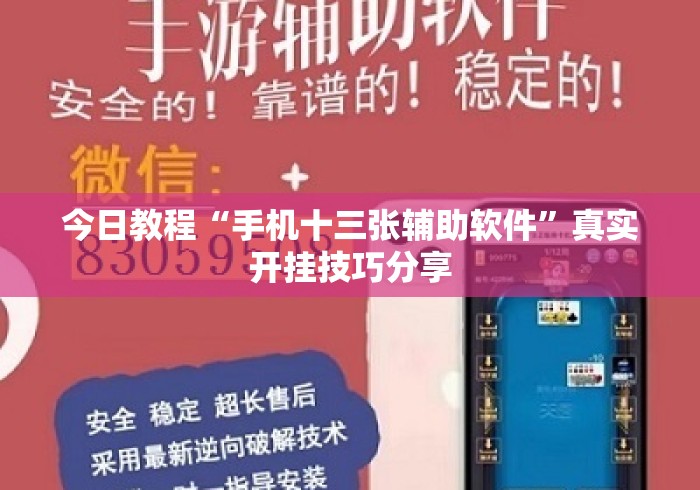 今日教程“手机十三张辅助软件”真实开挂技巧分享