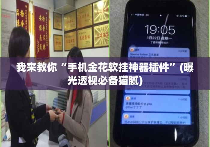 我来教你“手机金花软挂神器插件	”(曝光透视必备猫腻)