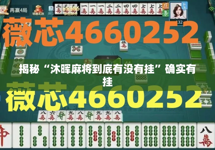 揭秘“沐晖麻将到底有没有挂”确实有挂