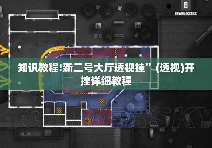 知识教程!新二号大厅透视挂	”(透视)开挂详细教程