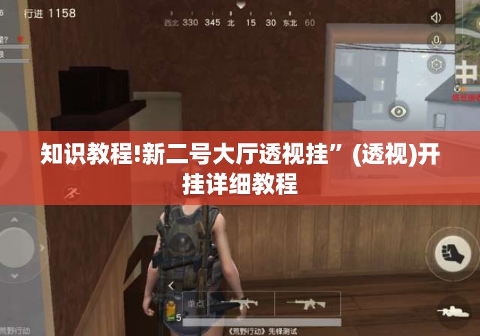 知识教程!新二号大厅透视挂	”(透视)开挂详细教程