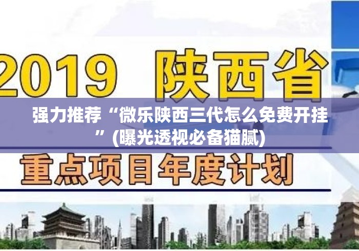 强力推荐“微乐陕西三代怎么免费开挂	”(曝光透视必备猫腻)