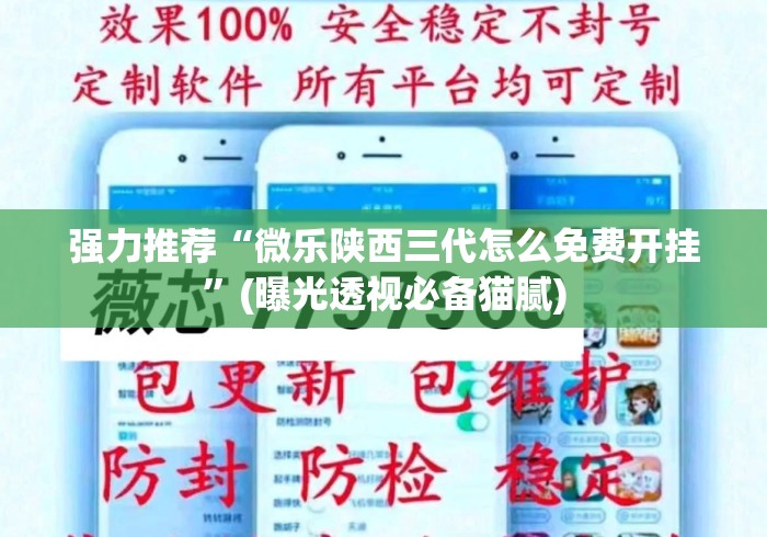 强力推荐“微乐陕西三代怎么免费开挂”(曝光透视必备猫腻)