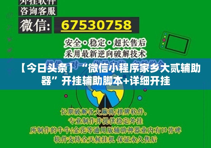 【今日头条】“微信小程序家乡大贰辅助器	”开挂辅助脚本+详细开挂