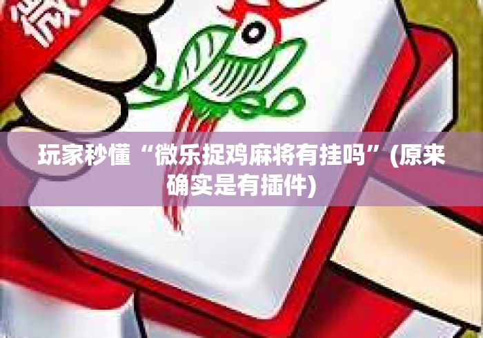 玩家秒懂“微乐捉鸡麻将有挂吗”(原来确实是有插件)