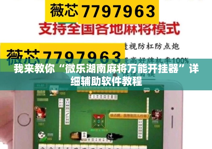 我来教你“微乐湖南麻将万能开挂器”详细辅助软件教程