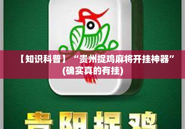 【知识科普】“贵州捉鸡麻将开挂神器	”(确实真的有挂)