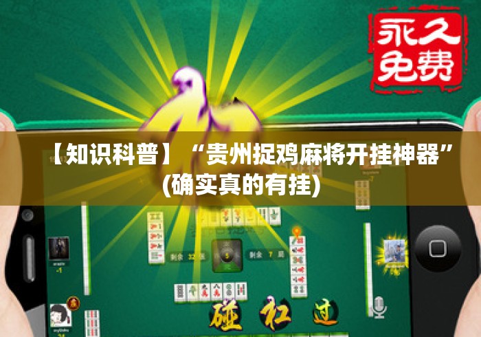 【知识科普】“贵州捉鸡麻将开挂神器”(确实真的有挂)