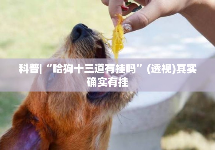 科普|“哈狗十三道有挂吗	”(透视)其实确实有挂
