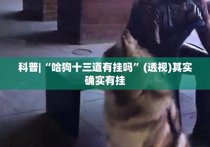 科普|“哈狗十三道有挂吗”(透视)其实确实有挂